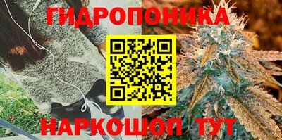 кокс Кулебаки