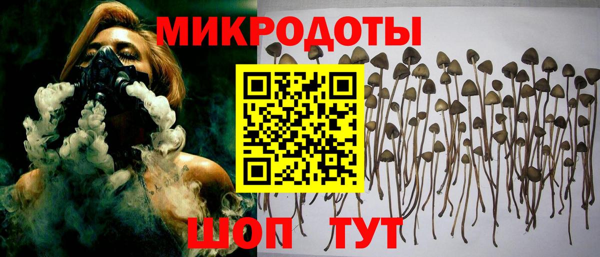 Заводоуковск  купить наркотик  Вход с VPN  Галлюциногенные грибы мицелий 